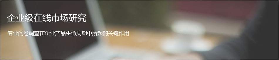 在线市场研究